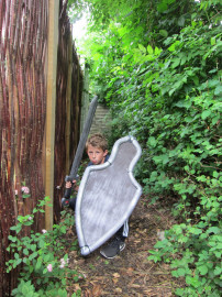 Shield in use